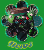 New Frog Times